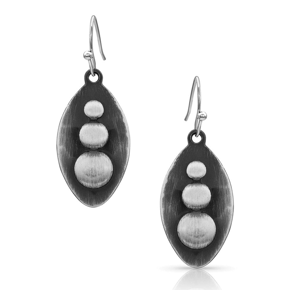 Montana Silversmith Polished River Rock Earrings
